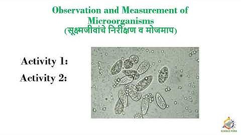 Standard 7: Lesson 11: Cell structure and microorganisms: Part 3 of 4