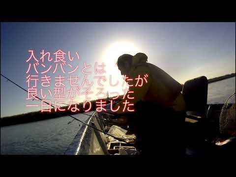 2020/11/21 涸沼川釣果報告 動画です
