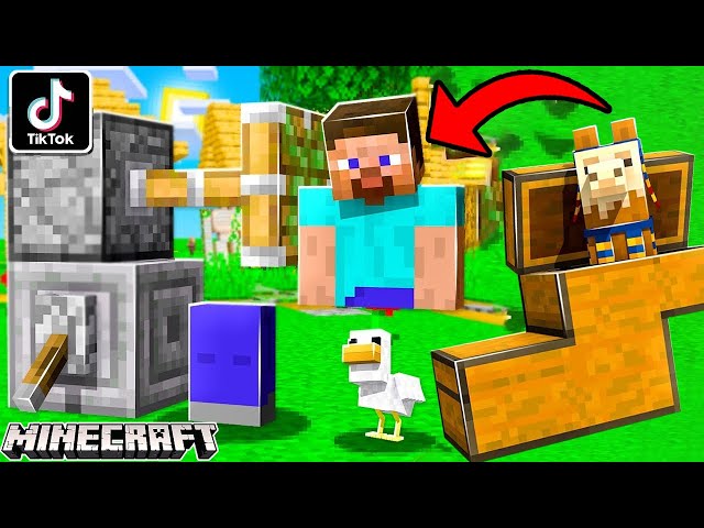 Todos os jogos de Minecraft que eu já fiz pra Tiktok. #trend #viral #m