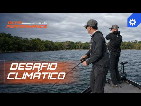 Challenges at Manso and the power of the pinima bass