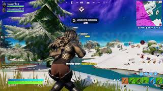 Fortnite Zinged Em