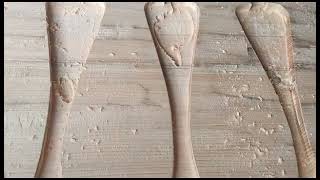 Panel Pol.kar Raha Hu