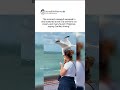 A seagull really stole her ice cream mid-bite and everyone finds it hilarious #viral