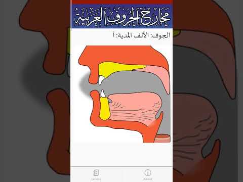 صوت حرف الألف المدية