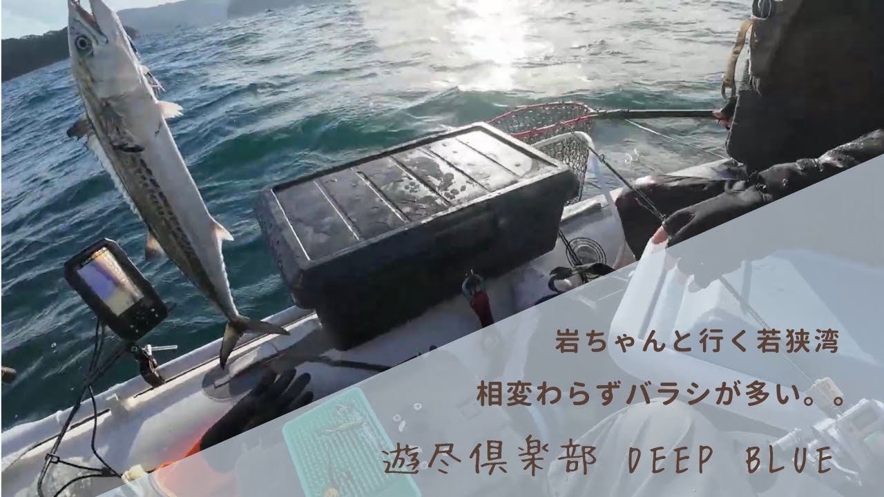 岩ちゃんと行く若狭ゴムボートフィッシング  今回もまたまた大物を。。。。