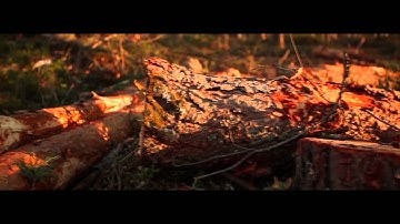 ASC & Bvdub - Symbol #2.2