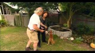 Animal Academy Series 3, Episode 11 Part 2