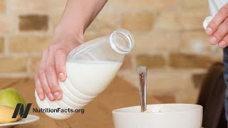 Autism and Casein from Cow’s Milk