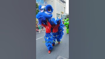 Tết Nguyên Tiêu Người Hoa Chợ Lớn Quá Vui #mualantet2025 #liondance #funnyshorts #mualanongdia