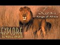 Explore the Wildlife Kingdom | Lions: Kings of Africa | Full Movie | Grant Goodeve