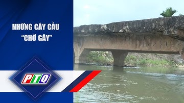 Những cây cầu “chờ gãy” | PTQ