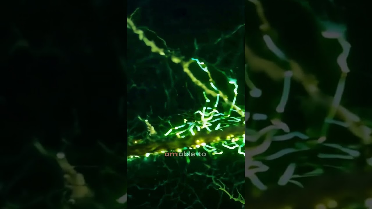 Stop trying to copy someone else's faith journey!