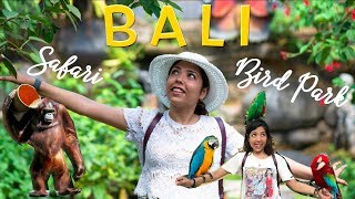 Places to see in Bali | Attractions near Bali airport | Denpasar Bali Places to see in Bali | Attractions near Bali airport | Denpasar Bali