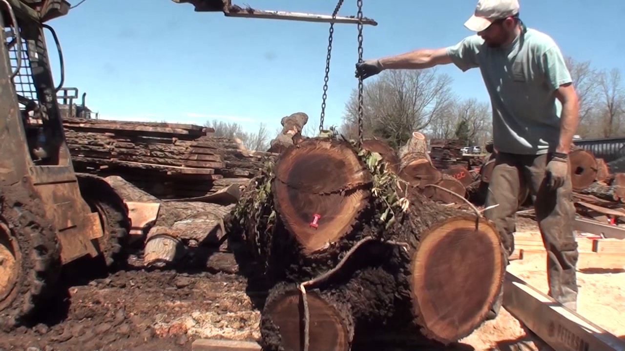 SUPER AWESOME 27 HP, 7 foot chainsaw mill! BLACK WALNUT! YouTube