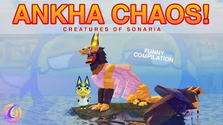 ANKHA CHAOS! 💛 funny yellow cat compilation (sfw) | Creatures of Sonaria