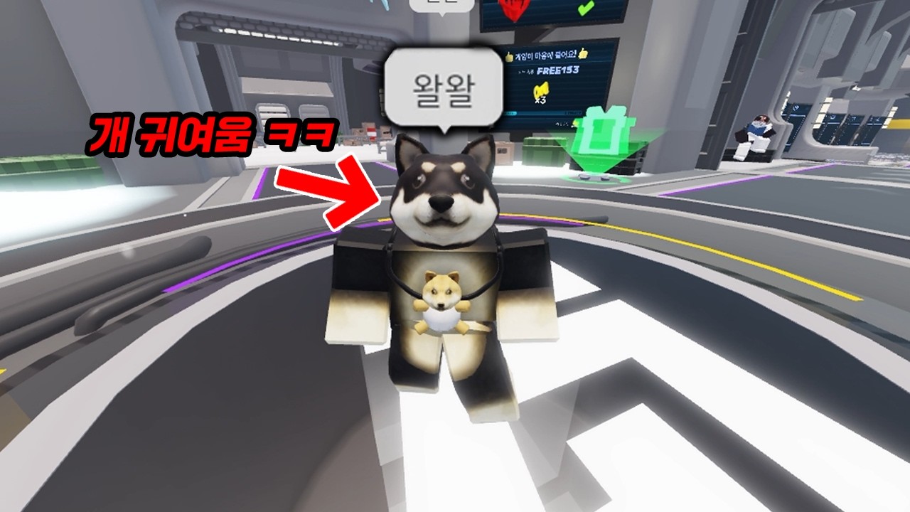 이 유저 만나면 조심하세요.. (귀여움 주의)