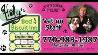 Holly's B n B HD 720p Video Sharing