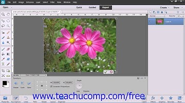 Photoshop Elements 12 Tutorial The Free Transform Command Adobe Training Lesson 13.4