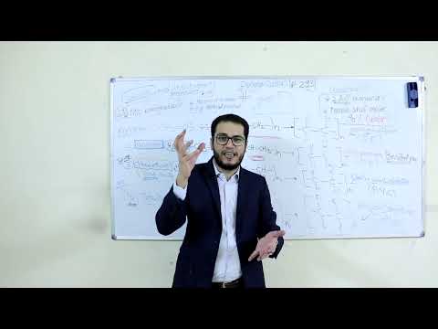 26        الحلقة الأخيرة النهاية السعيدة