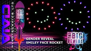 THE BIG REVEAL - GENDER REVEAL ROCKETS 🚀👀💖💙 PINK or BLUE SMILEY FACE #fireworks