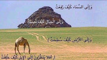 تدبر آيات القرآن الكريم والتفكر فيها