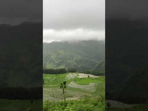 Nepal village vibes #shorts #shortvideo