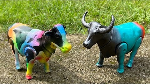 WKWK, MENEMUKAN SAPI LUCU KABUR, SAPI LIMOSIN, SAPI QURBAN, SAPI WARNA, SAPI BESAR, SAPI MOO, KERBAU