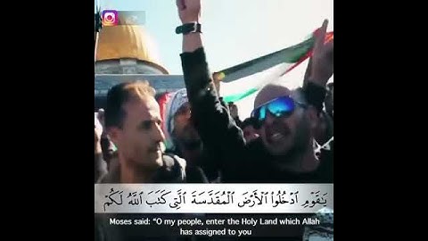 حالة قرأن قصيرة سورة المائدة | القارئ ياسر الدوسري