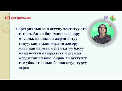 Video: Аутосомаларда канча хромосома бар?