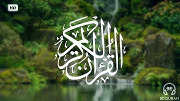 قرآن كريم بصوت سعد الغامدي ● حالات واتس اب دينية ● مقاطع دينية قصيرة