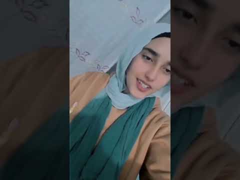 نو تورته نو كاتو