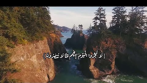 تلاوة خاشعة للقاريء ||عاصم بلال بني خالد||ما تيسر من سورة المؤمنون