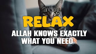 Relax_ Allah Knows Exactly What You Need || Deen and Akhlaq