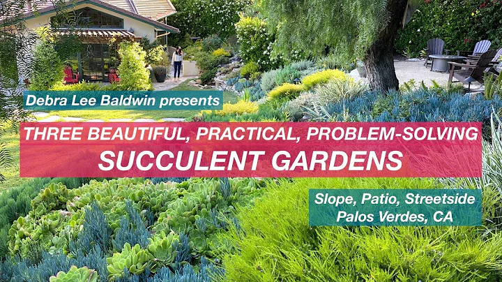 Three Beautiful, Practical, Problem-Solving Succulent Gardens - DayDayNews