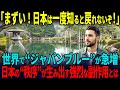 【海外の反応】「ここは地獄だ！あの静寂の国へ帰せ！」日本で“ありがとう”に溢れた日常を味わった米国人青年。帰国後に彼を襲った強烈な喪失感の正体