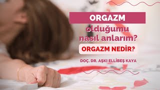 Orgazm nedir? Orgazm olduğunu nasıl anlarsın? - Doç. Dr. Aşkı Ellibeş Kaya Resimi