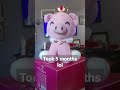 its finnaly arrived rip techno (old video)
