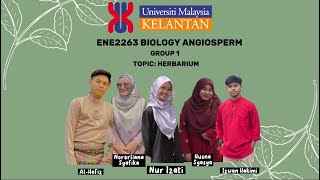 Group 1 : SEN2A (Biology Angiosperm) Herbarium
