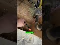 The ONE Spot They Anchored Hit A Pipe!