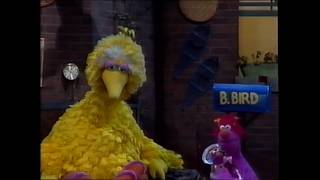 Celebrity My Sesame Street Home Video Bedtime Stories & Songs Australian VHS Net Worth