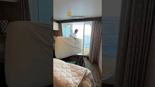 DON’T Do This on a Cruise Ship…