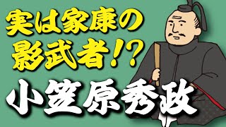 実は徳川家康の影武者だった！？小笠原秀政　不安定な少年時代を経て家康の孫娘を娶った武将