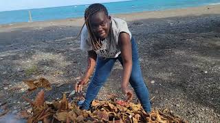  Getting  the sea side Clean up for colaz Smith tv for an adventure 