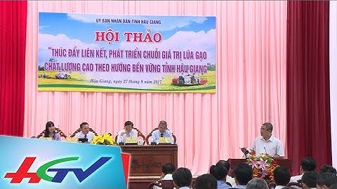 Thúc đẩy liên kết, phát triển chuỗi giá trị lúa gạo chất lượng cao