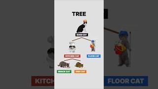 Trees, explained by cats. #cat #code #trees #datastructures #computerscience