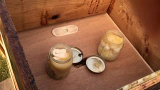 Beekeeping ARU feeding of the hive for wintertime