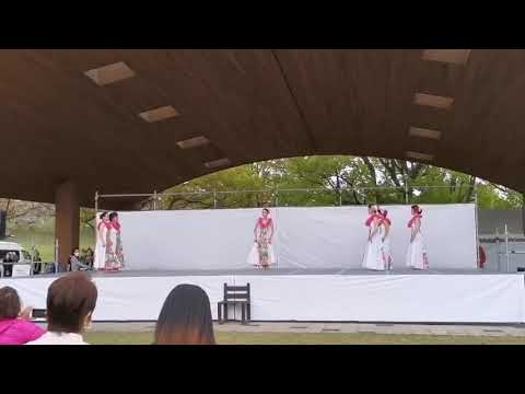 フラダンス　ケアロハ/Ke Aloha