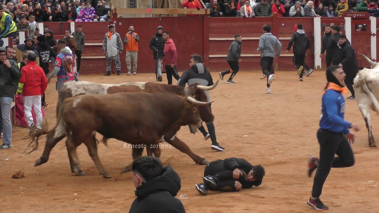 Ciudad Rodrigo 1 Marzo 2025 - Entrada a la plaza Montalvo y Toros de Brazuelas