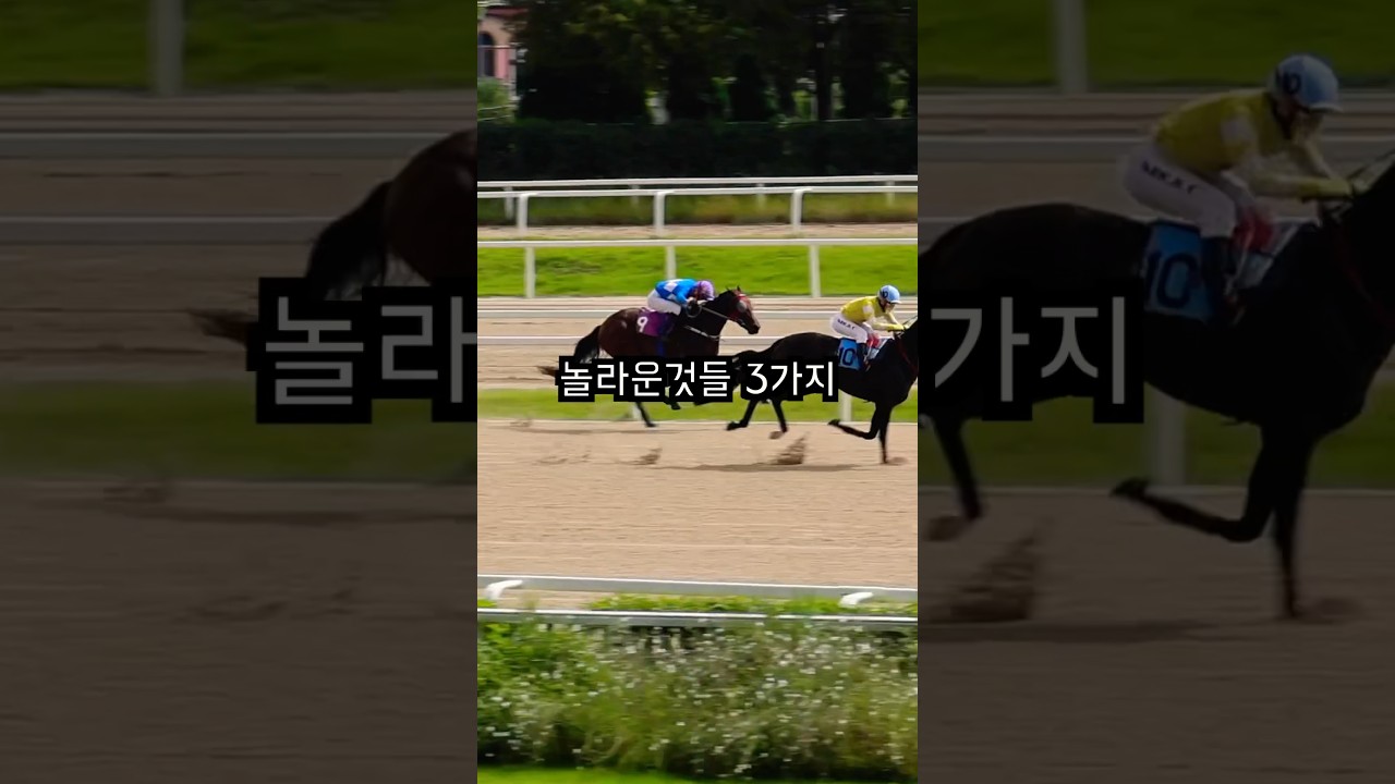 경마장에서 알게된 놀라운 것들 3가지 #shorts