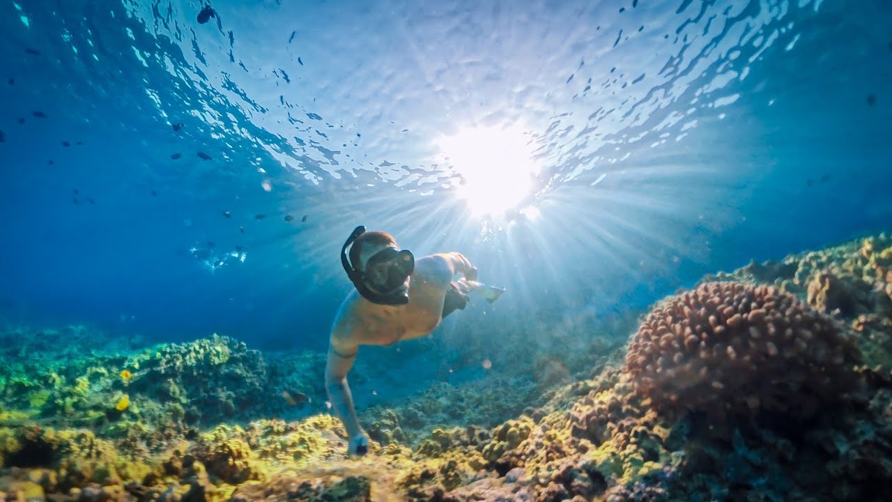 Molokini charter 2025